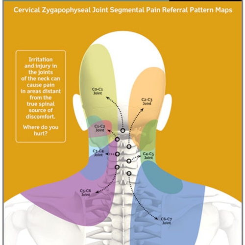 Neck Pain Causes And Symptoms