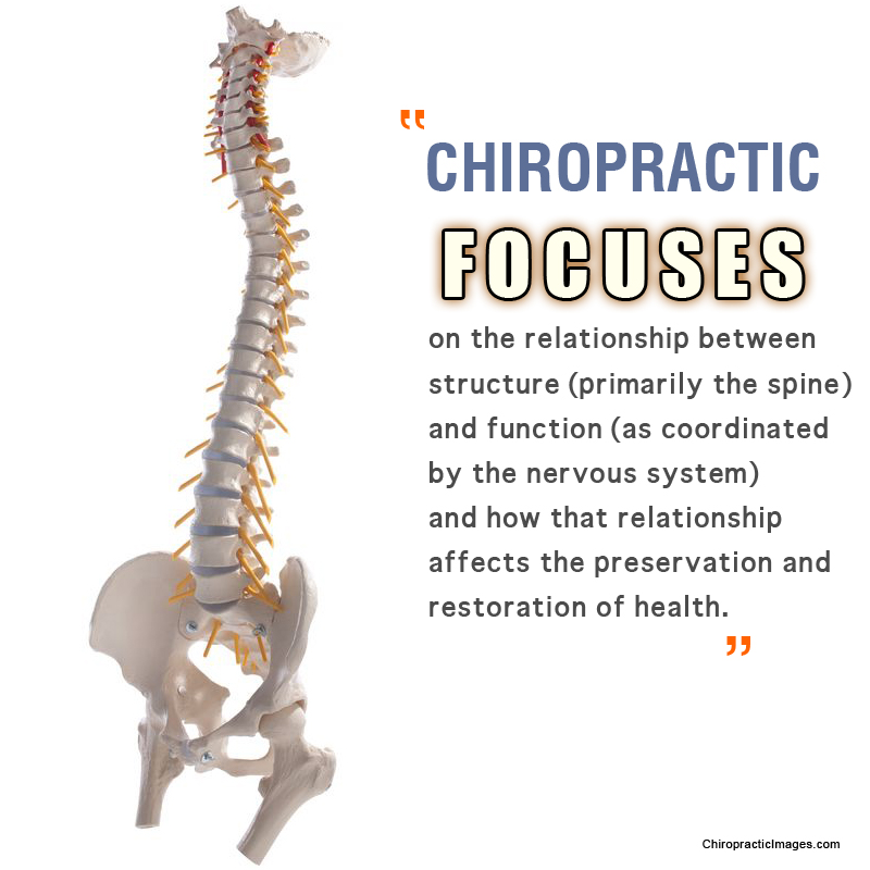 The Benefits of Chiropractic Adjustments