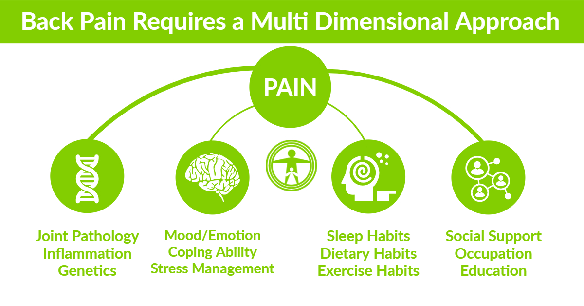 Back Pain requires a multidimensional approach