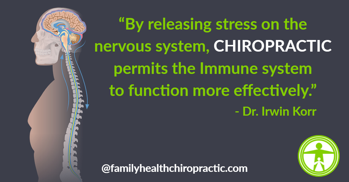 Chiropractic Adjustments Impact Nervous System