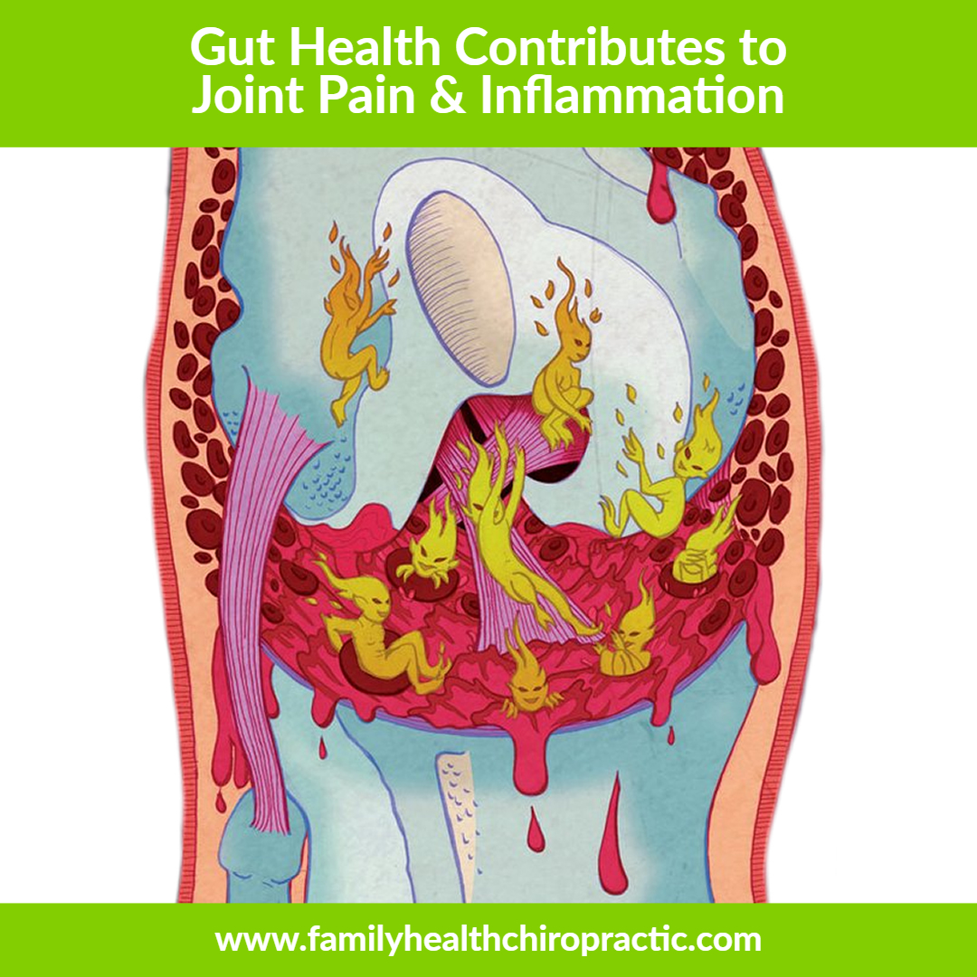 Gut Health Causes Joint Pain