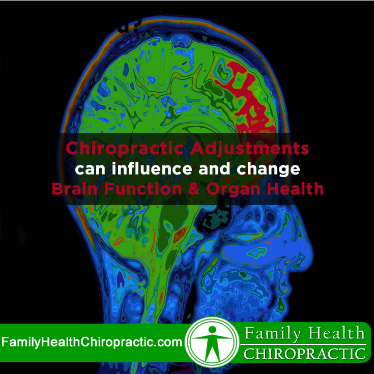 Chiropractic adjustments change organ health