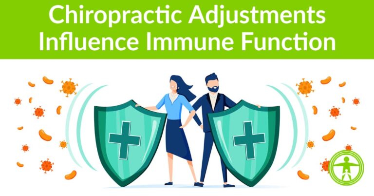 Chiropractic adjustments immune function