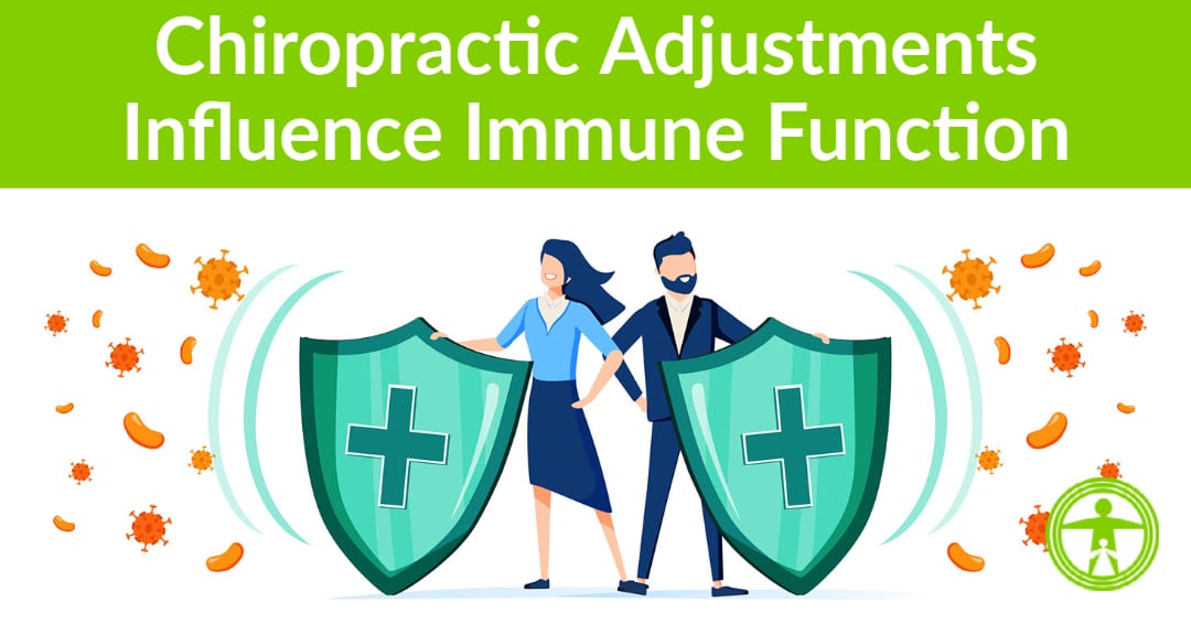Chiropractic adjustments immune function