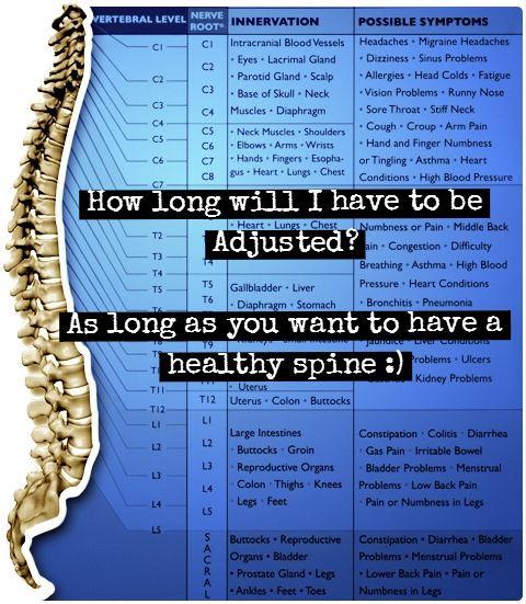 How long should i get adjusted