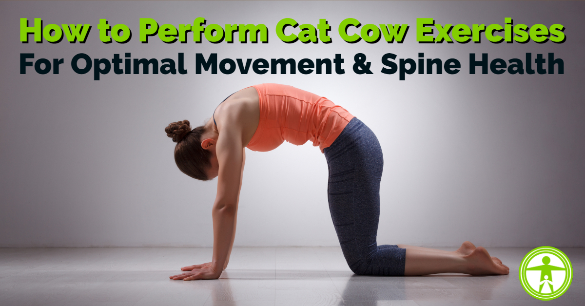 Cat-Cow Progressions for Optimal Spine Health