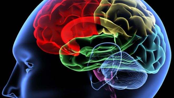 Manage parkinsons naturally