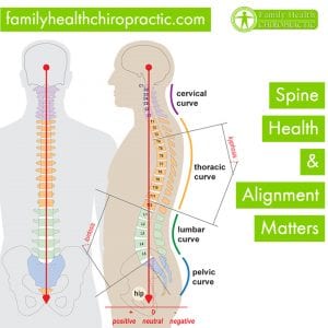 Muscle brain function 1 300x300