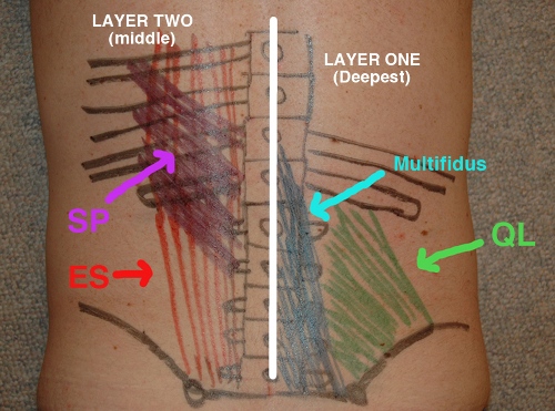 Palpating the QL muscle