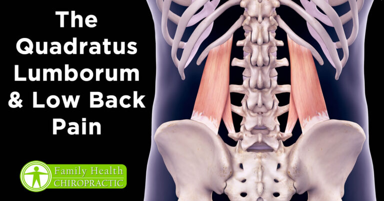 Quadratus lumborum and back pain