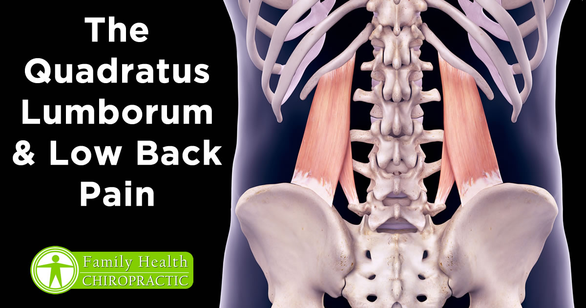 Quadratus Lumborum (QL) and Low Back Pain
