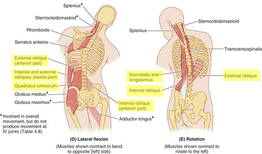 Side bending for back pain