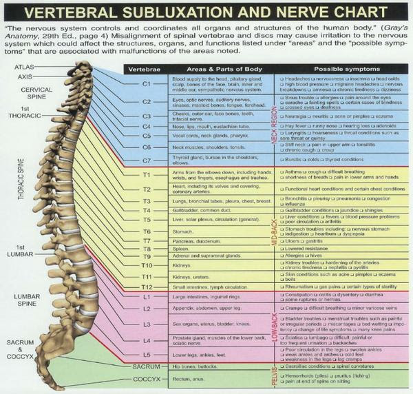 Subluxation nerve chart austin chiropractor dr daniel gonzalez