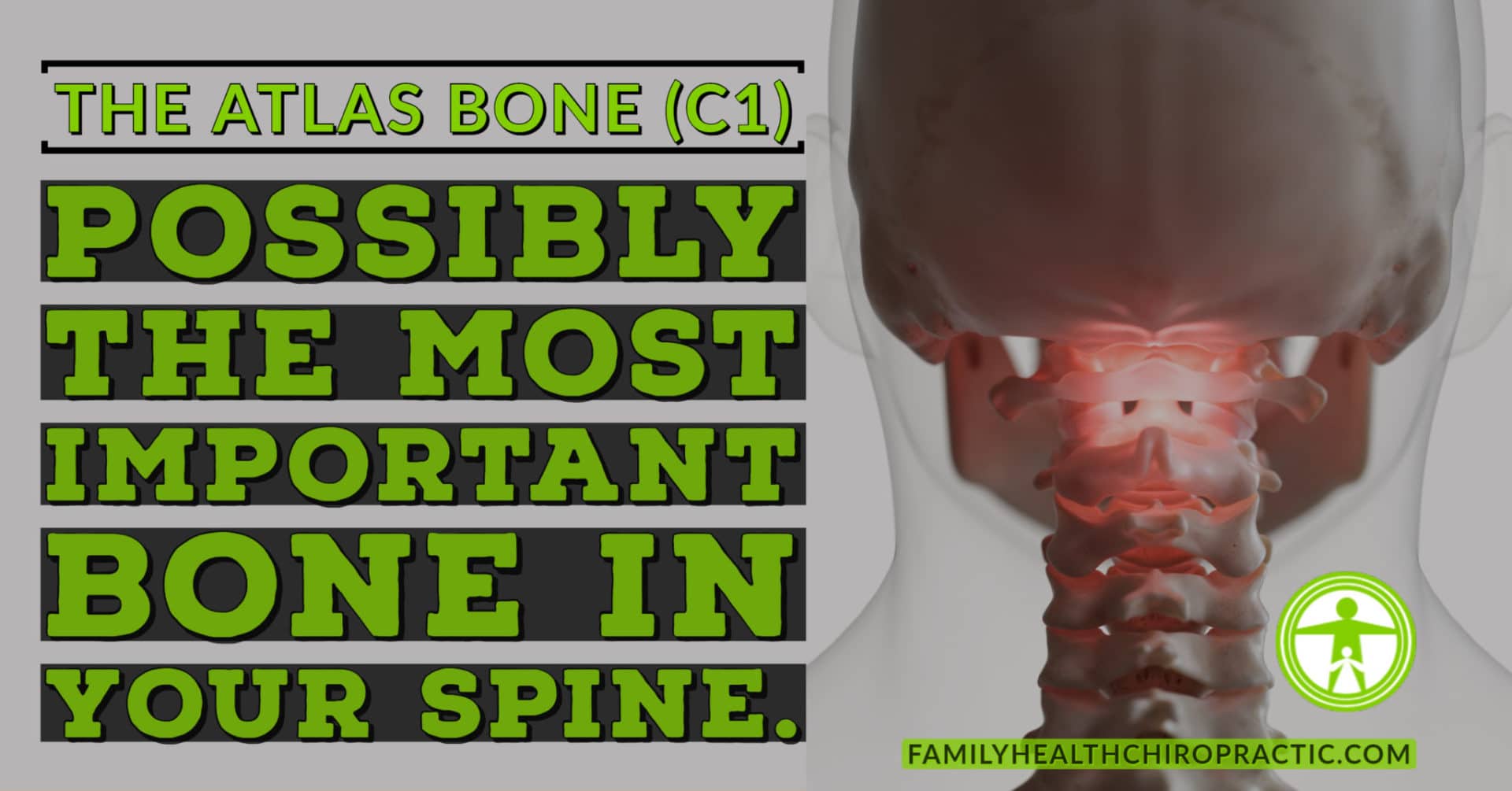 The Atlas Bone: Anatomy and Why Your Upper Neck Matters