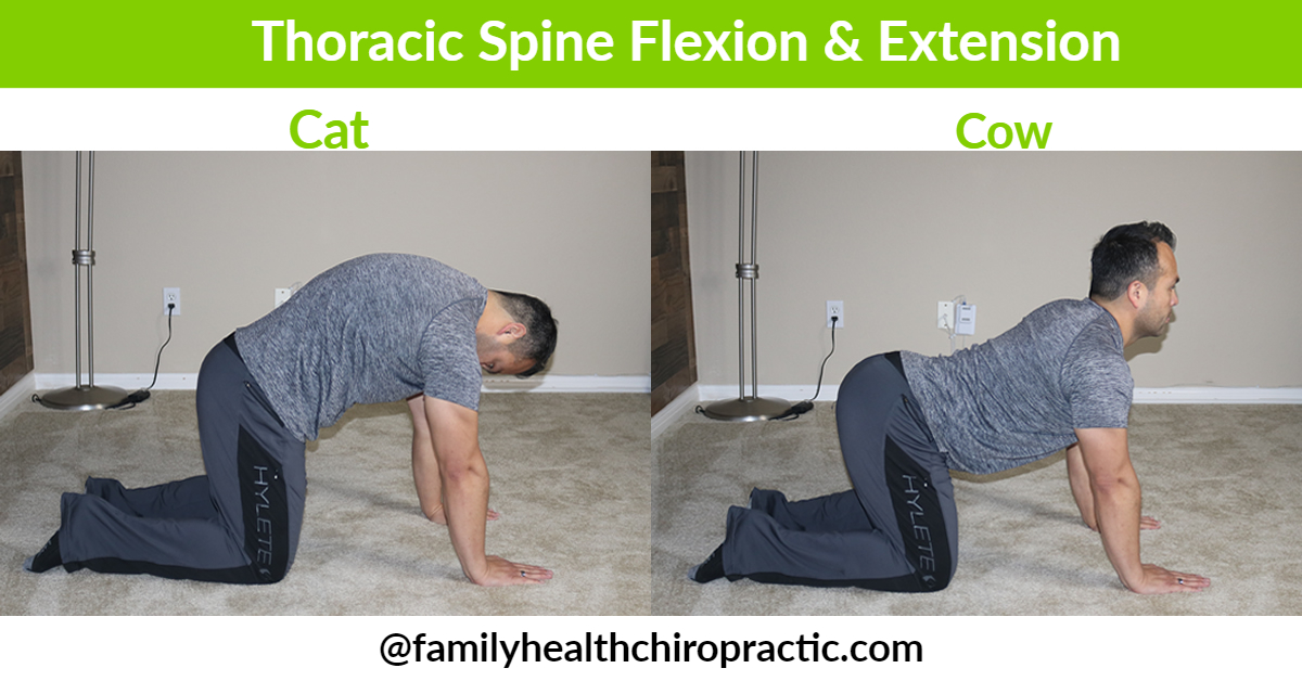 Thoracic spine flexion and extension
