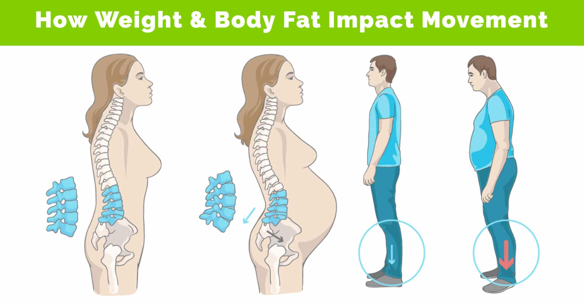 Weight and body fat impact movement