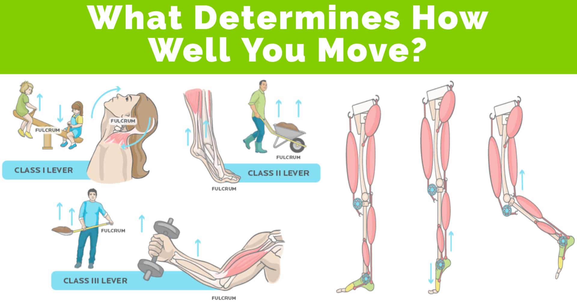 What determines your movement