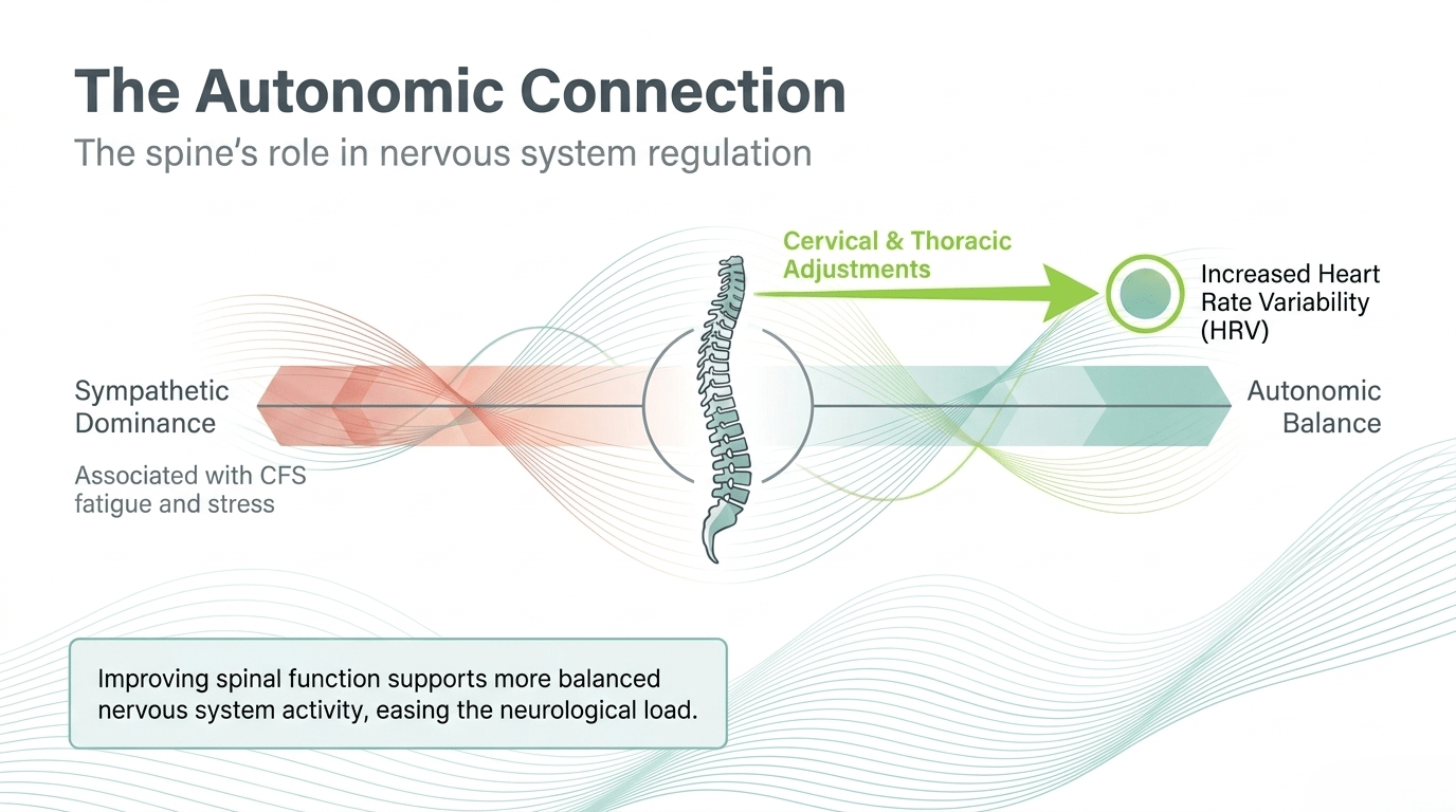 The Autonomic Connection: cervical and thoracic adjustments support increased heart rate variability and autonomic balance