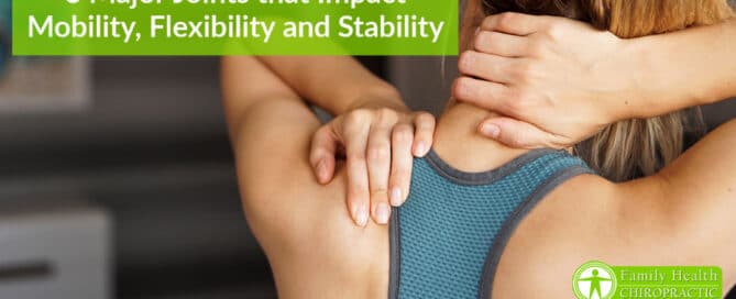 3 major joints that impact mobility flexibility and stability