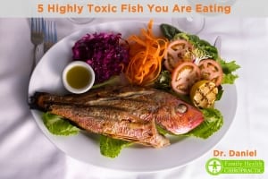 toxic fish
