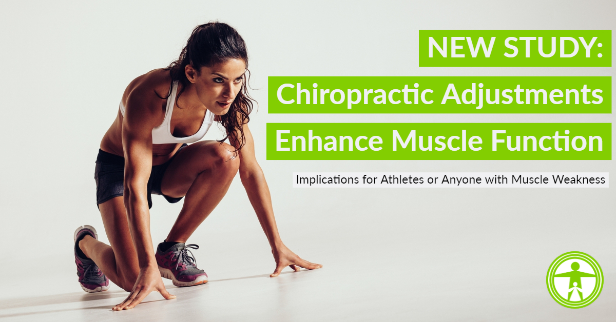 Chiropractic Adjustments Enhance Muscle Function