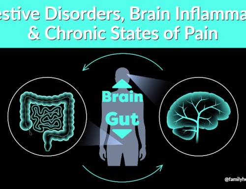 Digestive Disorders, Brain Inflammation and Chronic Pain