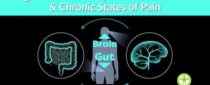 Digestive Disorders, Brain Inflammation and Chronic Pain