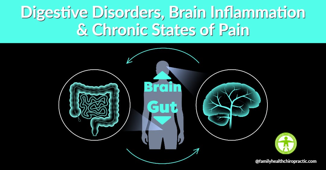 Digestive Disorders, Brain Inflammation and Chronic Pain