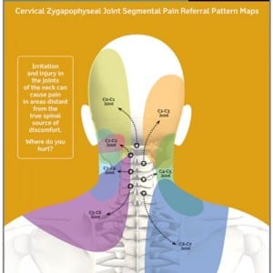 family health chiropractic