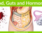 blood guts and hormones