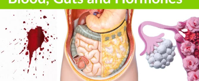 blood guts and hormones