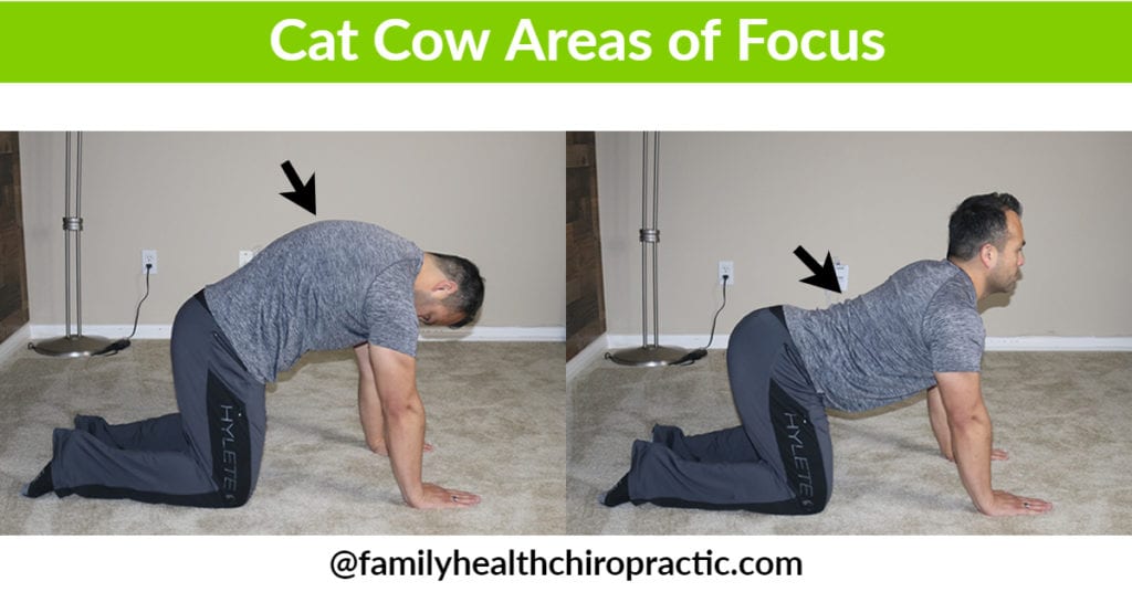Cat Cow Progressions For Optimal Spine Health | Family Health Chiropractic