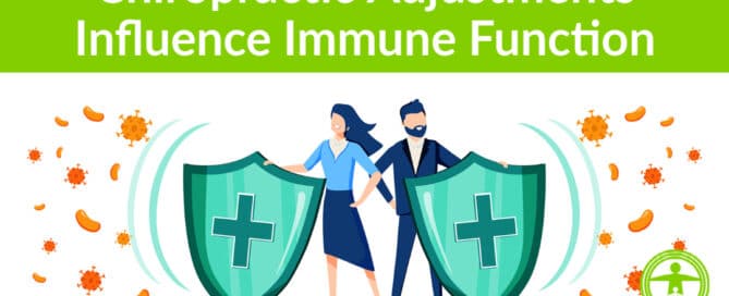 chiropractic adjustments immune function