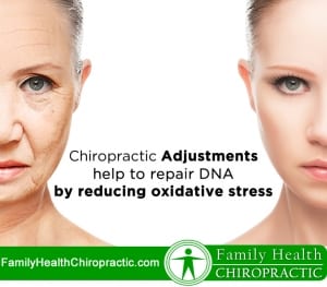 chiropractic adjustments repair dna