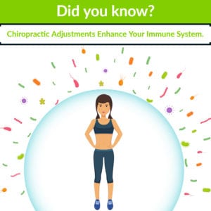 chiropractic adjustments boost immunity