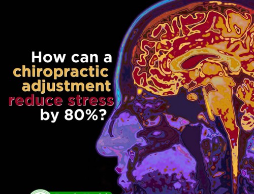 Chiropractic Adjustments Reduce Stress Markers by 80%
