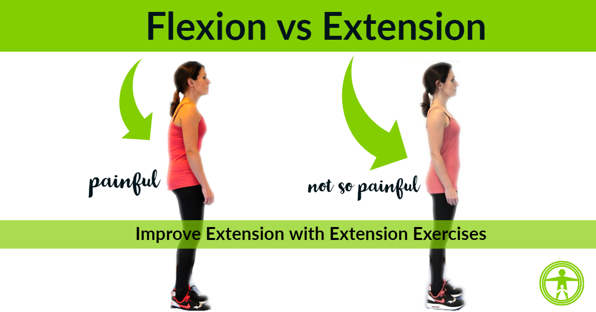 Back Extension Progressions For Lower Back Pain and Flexibility