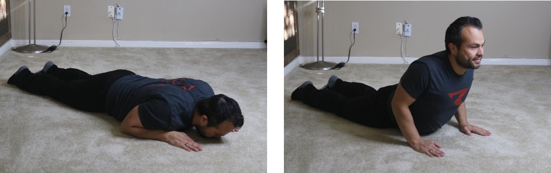 Back Extension Progressions For Lower Back Pain and Flexibility | Family Health Chiropractic