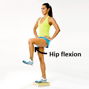 hip-flexion1