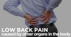 low back pain caused by other organs