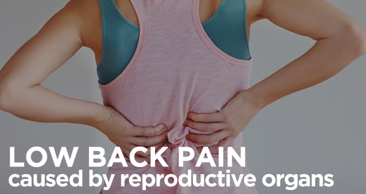 low back pain caused by reproductive organs