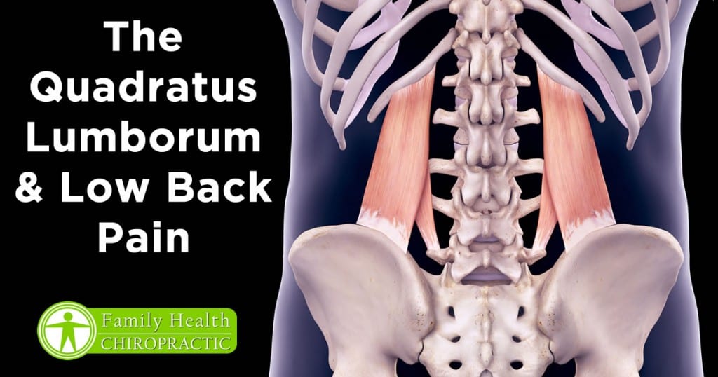 quadratus lumborum and back pain Family Health Chiropractic