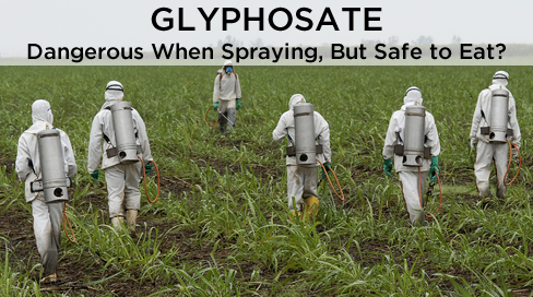 spraying-herbicide-000019257784_large_60781