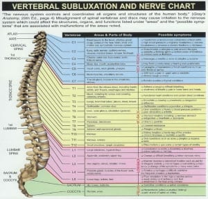 subluxation nerve chart austin chiropractor dr daniel gonzalez