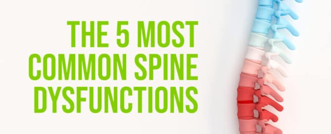 the 5 most common spine dysfunctions