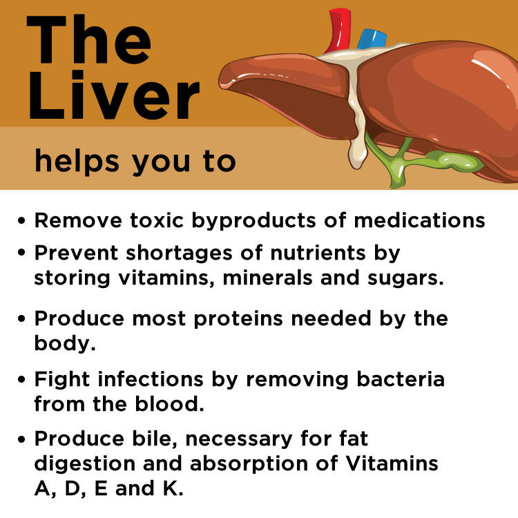 the-liver-helps-you