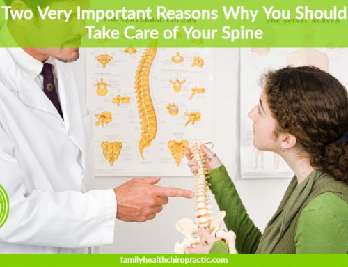 The 2 Most Important Reasons Why We Should Maintain the Health of our Spine