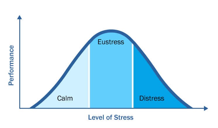 types of stress