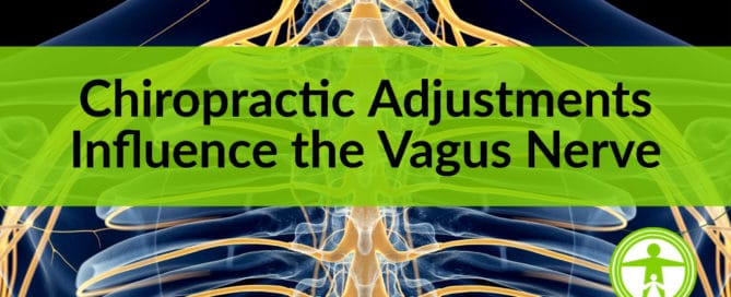 vagus nerve