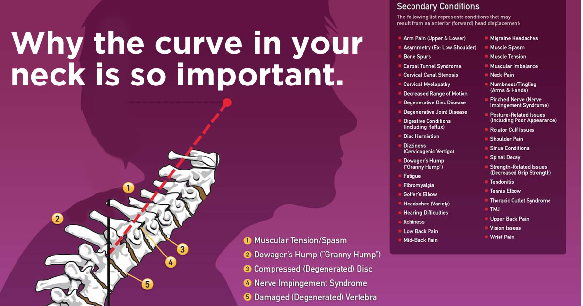Why The Curve In Your Neck is So Important!